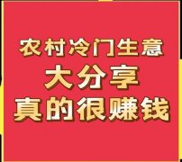 <strong>出的项目虽然各有特点</strong>